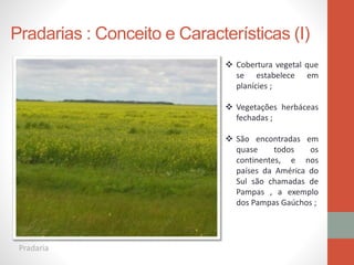 Pradarias : Conceito e Características (I)
 Cobertura vegetal que
se estabelece em
planícies ;
 Vegetações herbáceas
fechadas ;
 São encontradas em
quase todos os
continentes, e nos
países da América do
Sul são chamadas de
Pampas , a exemplo
dos Pampas Gaúchos ;
Pradaria
 