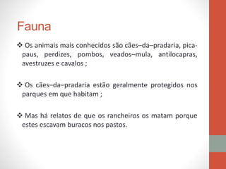 Fauna
 Os animais mais conhecidos são cães–da–pradaria, pica-
paus, perdizes, pombos, veados–mula, antilocapras,
avestruzes e cavalos ;
 Os cães–da–pradaria estão geralmente protegidos nos
parques em que habitam ;
 Mas há relatos de que os rancheiros os matam porque
estes escavam buracos nos pastos.
 