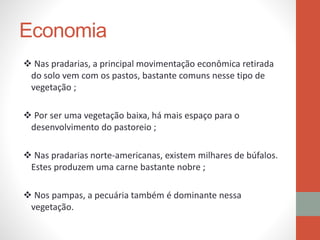 Economia
 Nas pradarias, a principal movimentação econômica retirada
do solo vem com os pastos, bastante comuns nesse tipo de
vegetação ;
 Por ser uma vegetação baixa, há mais espaço para o
desenvolvimento do pastoreio ;
 Nas pradarias norte-americanas, existem milhares de búfalos.
Estes produzem uma carne bastante nobre ;
 Nos pampas, a pecuária também é dominante nessa
vegetação.
 