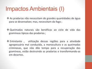 Impactos Ambientais (I)
 As pradarias não necessitam de grandes quantidades de água
para se desenvolver, mas, necessitam do fogo ;
 Queimadas naturais são benéficas ao ciclo de vida das
gramíneas típicas das pradarias ;
 Entretanto , utilização dessas regiões para a atividade
agropecuária mal conduzida, a monocultura e as queimadas
criminosas, que não dão tempo para a recuperação das
gramíneas, estão destruindo as pradarias e transformando-as
em desertos.
 