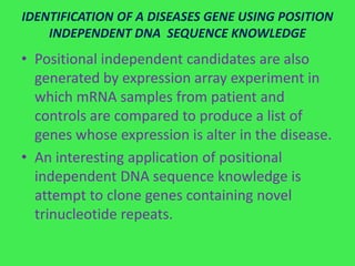 IDENTIFICATION OF A DISEASES GENE USING POSITION
    INDEPENDENT DNA SEQUENCE KNOWLEDGE
• Positional independent candidates are also
  generated by expression array experiment in
  which mRNA samples from patient and
  controls are compared to produce a list of
  genes whose expression is alter in the disease.
• An interesting application of positional
  independent DNA sequence knowledge is
  attempt to clone genes containing novel
  trinucleotide repeats.
 