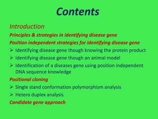 Contents
Introduction
Principles & strategies in identifying disease gene
Position independent strategies for identifying disease gene
 Identifying disease gene though knowing the protein product
 Identifying disease gene though an animal model
 Identification of a diseases gene using position independent
   DNA sequence knowledge
Positional cloning
 Single stand conformation polymorphism analysis
 Hetero duplex analysis
Candidate gene approach
 