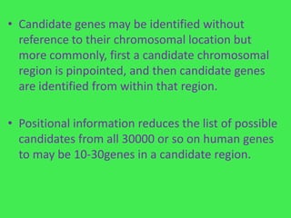 • Candidate genes may be identified without
  reference to their chromosomal location but
  more commonly, first a candidate chromosomal
  region is pinpointed, and then candidate genes
  are identified from within that region.

• Positional information reduces the list of possible
  candidates from all 30000 or so on human genes
  to may be 10-30genes in a candidate region.
 