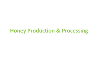 Honey Production & Processing
 