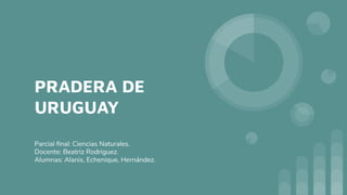 PRADERA DE
URUGUAY
Parcial ﬁnal: Ciencias Naturales.
Docente: Beatriz Rodriguez.
Alumnas: Alanis, Echenique, Hernández.
 