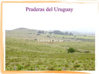 Praderas del Uruguay




    Andrea Clavijo
 