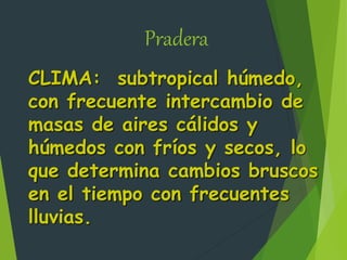Pradera
CLIMA: subtropical húmedo,
con frecuente intercambio de
masas de aires cálidos y
húmedos con fríos y secos, lo
que determina cambios bruscos
en el tiempo con frecuentes
lluvias.
 