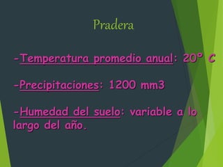 Pradera
-Temperatura promedio anual: 20º C
-Precipitaciones: 1200 mm3
-Humedad del suelo: variable a lo
largo del año.
 