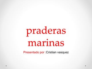 praderas
marinas
Presentado por :Cristian vasquez
 