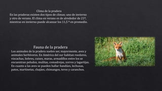 Clima de la pradera
En las praderas existen dos tipos de climas; uno de invierno
y otro de verano. El clima en verano es de alrededor de 21º,
mientras en invierno puede alcanzar los 11,5 º en promedio.
Fauna de la pradera
Los animales de la pradera suelen ser, mayormente, aves y
animales herbívoros. En América del sur habitan roedores,
vizcachas, liebres, cuises, maras, armadillos entre los se
encuentran peludos, mulitas, comadrejas, zorros y lagartijas.
En cuanto a las aves se pueden hallar ñandúes, lechuzas,
patos, martinetas, chajáes, chimangos, teros y caranchos.
 