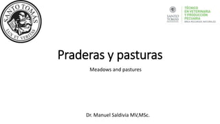 Praderas y pasturas
Dr. Manuel Saldivia MV,MSc.
Meadows and pastures
 