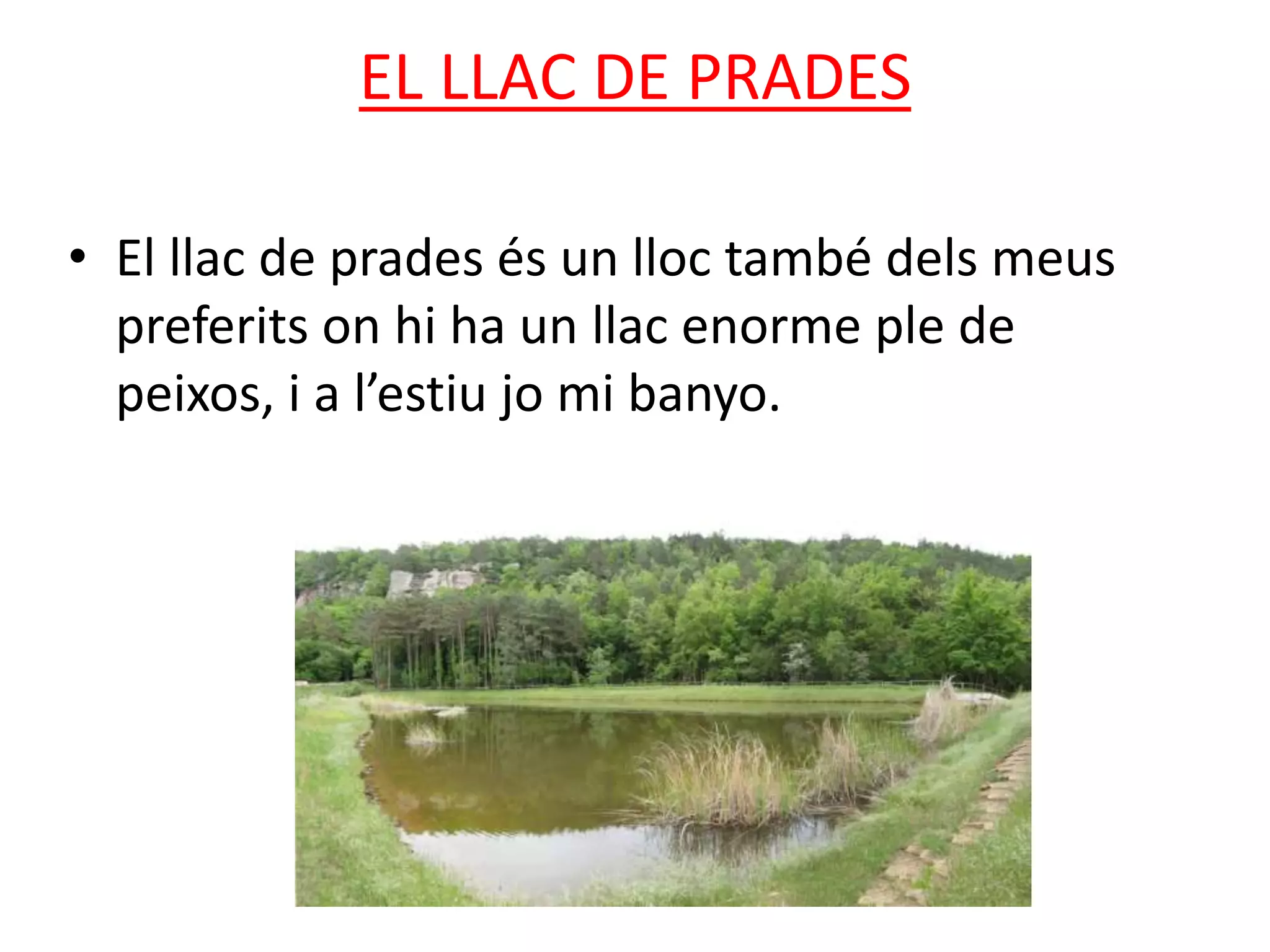 EL LLAC DE PRADES
• El llac de prades és un lloc també dels meus
preferits on hi ha un llac enorme ple de
peixos, i a l’estiu jo mi banyo.
 