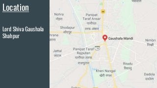 Location
Lord Shiva Gaushala
Shahpur
 