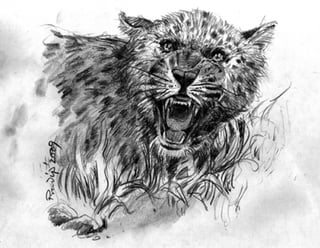 Pradip Children Book Illustrator