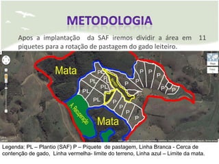 Apos a implantação da SAF iremos dividir a área em 11
      piquetes para a rotação de pastagem do gado leiteiro.


   vfgw




Legenda: PL – Plantio (SAF) P – Piquete de pastagem, Linha Branca - Cerca de
contenção de gado, Linha vermelha- limite do terreno, Linha azul – Limite da mata.
 