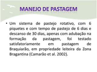 • Um sistema de pastejo rotativo, com 6
  piquetes e com tempo de pastejo de 6 dias e
  descanso de 30 dias, apenas com adubação na
  formação da pastagem, foi testado
  satisfatoriamente     em     pastagem    de
  Braquiarão, em propriedade leiteira da Zona
  Bragantina (Camarão et al. 2002).
 