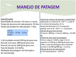 Especificações                                Cálculo do número de piquetes (subdivisões)
Quantidade de animais: 24 vacas e 1 touro.    Aplicando-se a fórmula N = D/P + 1, onde N
Tempo de descanso de cada piquete: 35 dias.   é o número de piquetes, D é o
Tempo de pastejo de cada piquete: 7 dias.     tempo de descanso e P é o tempo de
                                              pastejo, tem-se N = 35/7 + 1 = 6 piquetes.
                                              Cálculo do peso dos animais
                                              24 vacas x 400 kg + 1 touro x 600 kg = 10.200
                                              kg.
                                              Cálculo da área total da pastagem
1 UA (unidade animal) 450 kg de peso vivo.    Como a carga é 2 UA/ha, logo 1 ha irá
Peso de uma vaca: 400 kg de peso vivo.        suportar 2 x 450 kg ou 900 kg de peso vivo.
Peso de um touro: 600 kg de peso vivo.        Então, a área de pastagem para o total de
                                              animais é 10.200 kg/900 kg = 11,33 ha.
Taxa de lotação: 2,0 UA/ha.
                                              Cálculo da área de cada piquete
Adubação da pastagem: De formação e           11,33 ha/6 piquetes = 1,89 ha.
de manutenção.
 