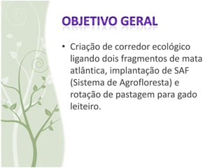 • Criação de corredor ecológico
  ligando dois fragmentos de mata
  atlântica, implantação de SAF
  (Sistema de Agrofloresta) e
  rotação de pastagem para gado
  leiteiro.
 