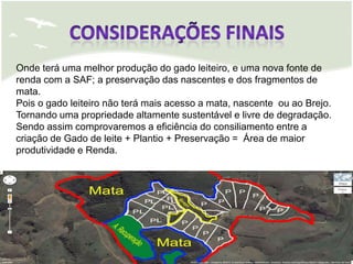 Onde terá uma melhor produção do gado leiteiro, e uma nova fonte de
renda com a SAF; a preservação das nascentes e dos fragmentos de
mata.
Pois o gado leiteiro não terá mais acesso a mata, nascente ou ao Brejo.
Tornando uma propriedade altamente sustentável e livre de degradação.
Sendo assim comprovaremos a eficiência do consiliamento entre a
criação de Gado de leite + Plantio + Preservação = Área de maior
produtividade e Renda.
 