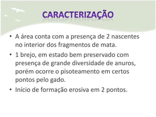 • A área conta com a presença de 2 nascentes
  no interior dos fragmentos de mata.
• 1 brejo, em estado bem preservado com
  presença de grande diversidade de anuros,
  porém ocorre o pisoteamento em certos
  pontos pelo gado.
• Início de formação erosiva em 2 pontos.
 