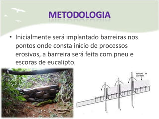 • Inicialmente será implantado barreiras nos
  pontos onde consta início de processos
  erosivos, a barreira será feita com pneu e
  escoras de eucalipto.
 