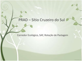PRAD – Sítio Cruzeiro do Sul


Corredor Ecológico, SAF, Rotação de Pastagem
 