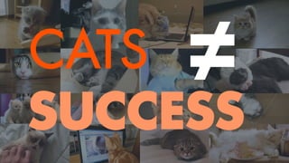 CATS
SUCCESS
 