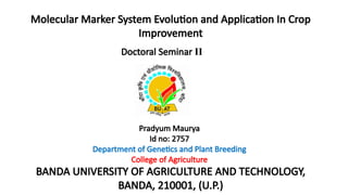 Molecular Marker System Evolution and Application in Crop Improvement ...