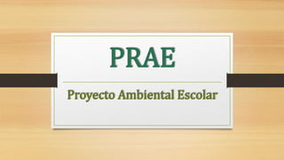 PRAE
Proyecto Ambiental Escolar
 