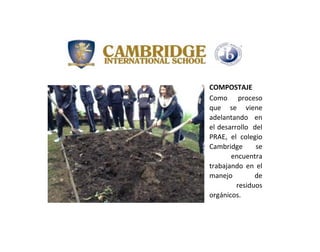 COMPOSTAJE
Como proceso
que se viene
adelantando en
el desarrollo del
PRAE, el colegio
Cambridge se
encuentra
trabajando en el
manejo de
residuos
orgánicos.
 