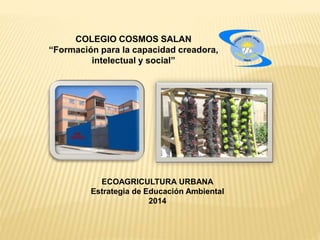 COLEGIO COSMOS SALAN
“Formación para la capacidad creadora,
intelectual y social”
ECOAGRICULTURA URBANA
Estrategia de Educación Ambiental
2014
 