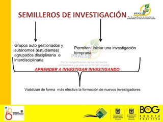 SEMILLEROS DE INVESTIGACIÓNGrupos auto gestionados y autónomos (estudiantes) agrupados disciplinaria  e interdisciplinariaPermiten  iniciar una investigación temprana APRENDER A INVESTIGAR INVESTIGANDOViabilizan de forma  más efectiva la formación de nuevos investigadores