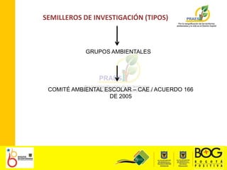 SEMILLEROS DE INVESTIGACIÓN (TIPOS)GRUPOS AMBIENTALESCOMITÉ AMBIENTAL ESCOLAR – CAE / ACUERDO 166 DE 2005