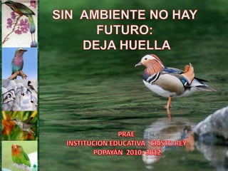 SIN  AMBIENTE NO HAY FUTURO:  DEJA HUELLA  PRAE  INSTITUCION EDUCATIVA   CRISTO REY POPAYÁN  2010- 2012 