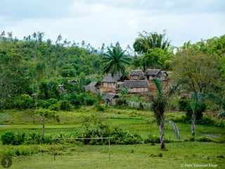 © Foto: Emanuel Kluge
 