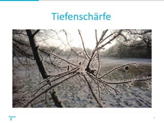 Tiefenschärfe
32
 