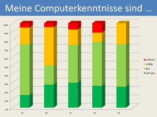 Meine Computerkenntnisse sind …