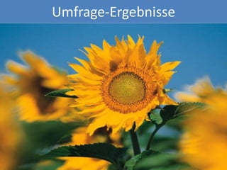 Umfrage-Ergebnisse
