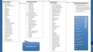 Agile Data Mining with Data Vault 2.0 18 
10066 Records 
Attribute 
Marital 
Status 
Gender 
Yearly 
Income 
Total 
Children 
Education 
Number Cars 
Owned 
Commute 
Distance 
Occupation 
House Owner 
Flag 
Age 
 