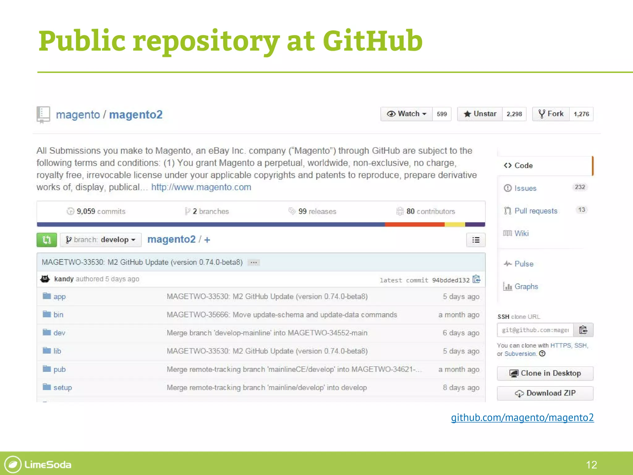 12
Public repository at GitHub
github.com/magento/magento2
 