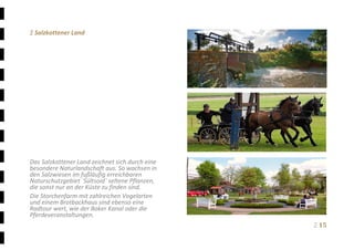 Ξ 15	
Ξ Salzkottener Land 
 
 
 
 
 
 
 
 
 
 
 
 
 
 
Das Salzkottener Land zeichnet sich durch eine 
besondere Naturlandschaft aus. So wachsen in 
den Salzwiesen im fußläufig erreichbaren 
Naturschutzgebiet ´Sültsoid´ seltene Pflanzen, 
die sonst nur an der Küste zu finden sind.   
Die Storchenfarm mit zahlreichen Vogelarten 
und einem Brotbackhaus sind ebenso eine 
Radtour wert, wie der Boker Kanal oder die 
Pferdeveranstaltungen.
 