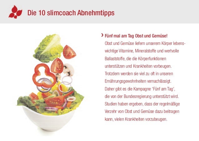praesentation slimcoach ef privat low a 16