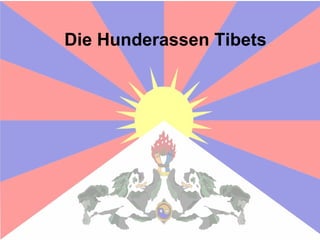 Die Hunderassen Tibets
 