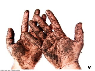 Photo by Micah Taylor, Creative Commons
 