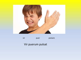 Vir puerum pulsat
vir puer pulsare
 