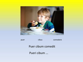 Puer cibum comedit
puer cibus comedere
Pueri cibum ...
 