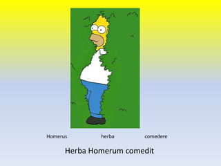 Homerus herba comedere
Herba Homerum comedit
 