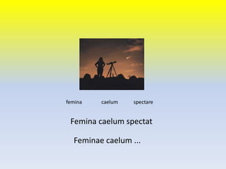 Femina caelum spectat
femina caelum spectare
Feminae caelum ...
 