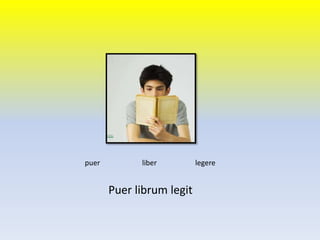 Puer librum legit
puer liber legere
 
