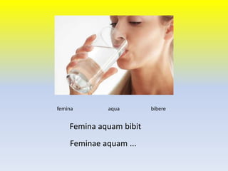 Femina aquam bibit
femina aqua bibere
Feminae aquam ...
 